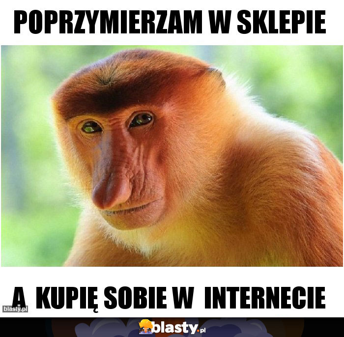 Poprzymierzam w sklepie Poprzymierzam w sklepie
