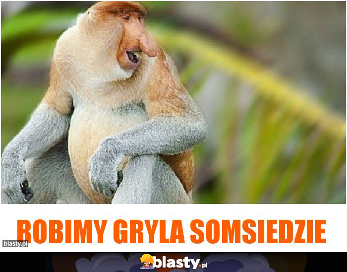 ROBIMY GRYLA SOMSIEDZIE ROBIMY GRYLA SOMSIEDZIE