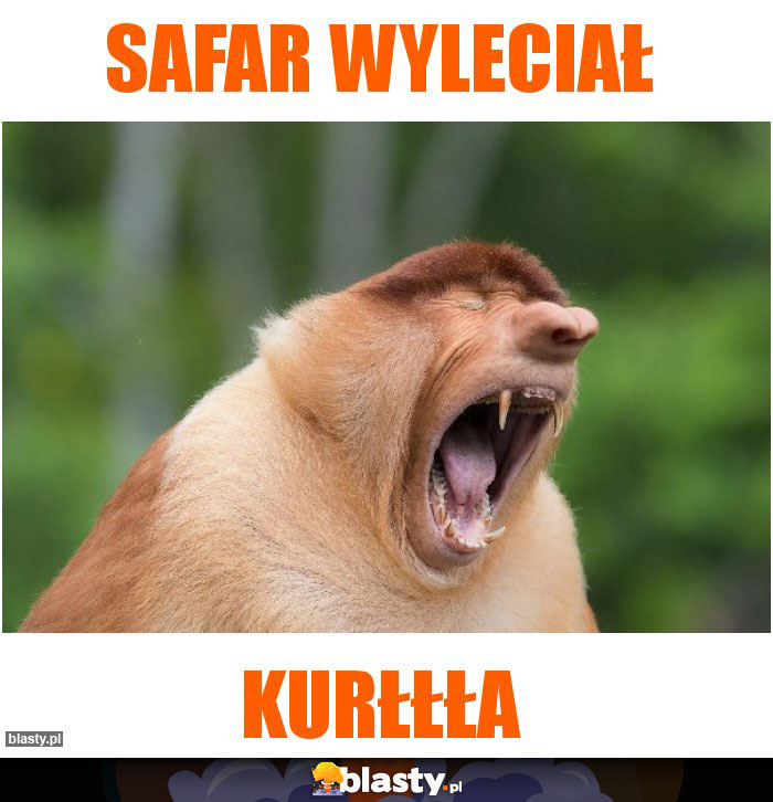 Safar wyleciał