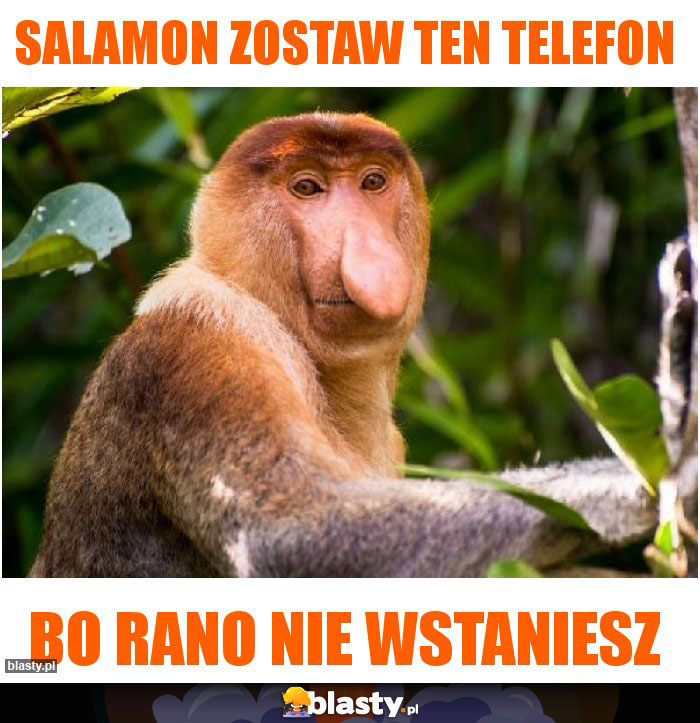 Salamon zostaw ten telefon Salamon zostaw ten telefon