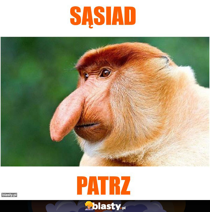 Sąsiad