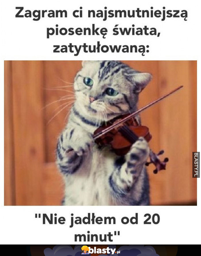 Śmieszny kitku