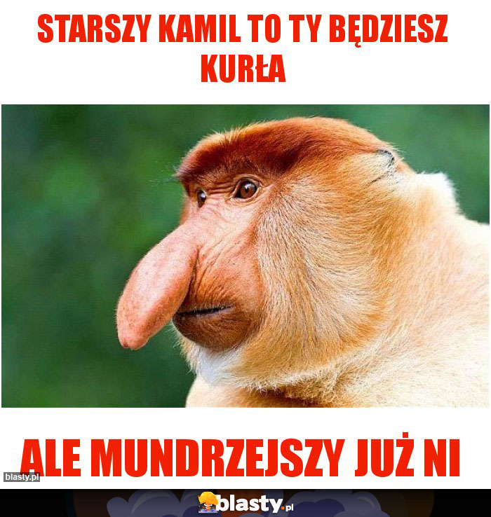 Starszy Kamil to Ty będziesz kurła Starszy Kamil to Ty będziesz kurła