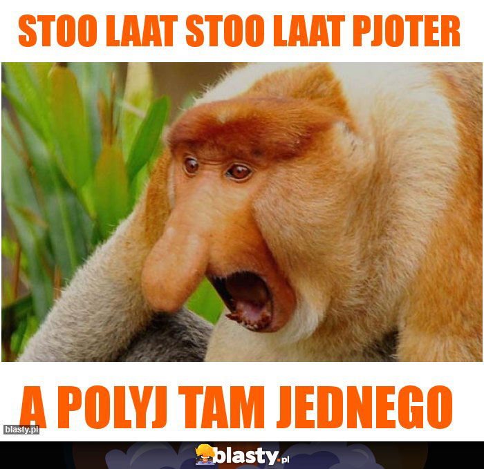 stoo laat stoo laat Pjoter stoo laat stoo laat Pjoter