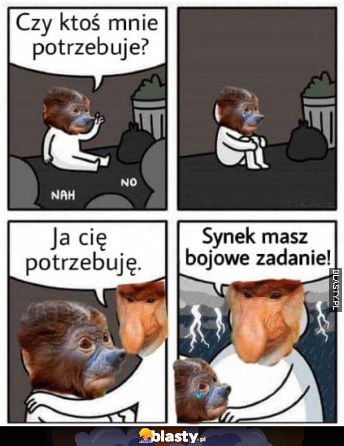 Synek masz bojowe zadanie