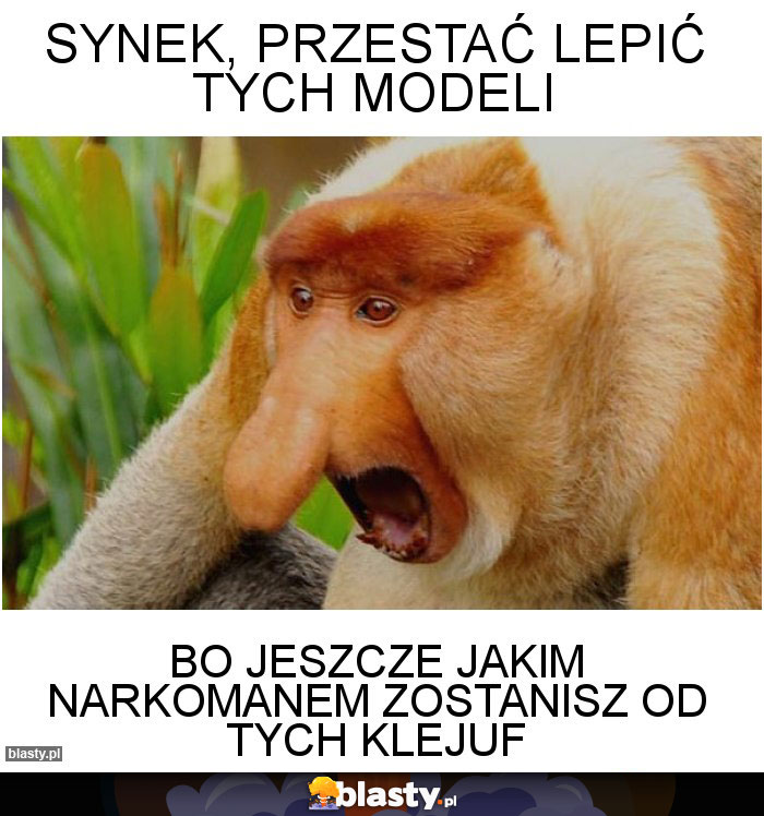 Synek, przestać lepić tych modeli