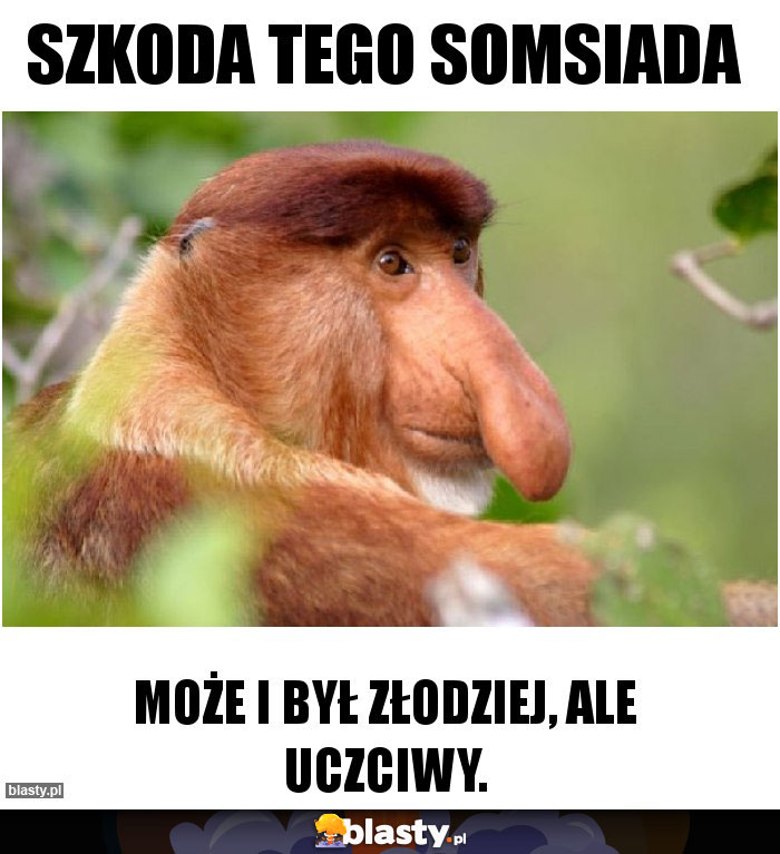 Szkoda tego somsiada