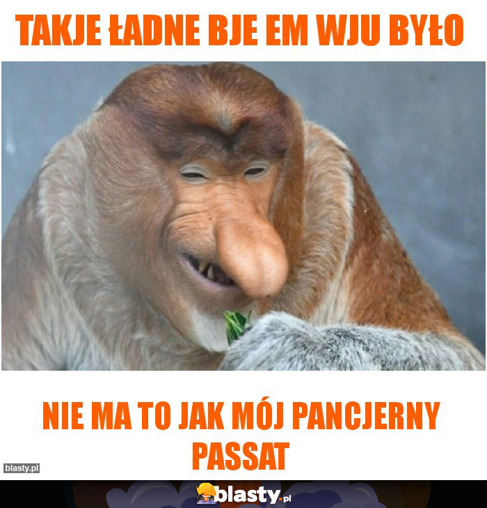 Takje ładne Bje em wju było Takje ładne Bje em wju było