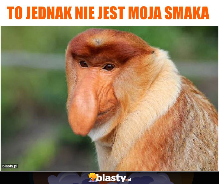 To jednak nie jest moja smaka To jednak nie jest moja smaka