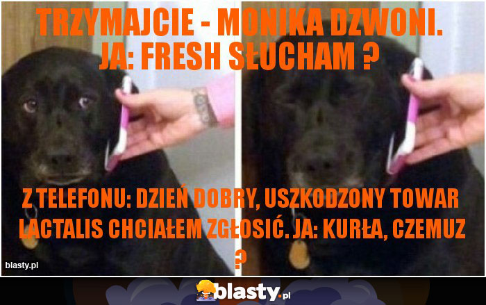 Trzymajcie - Monika dzwoni. Ja: Fresh słucham ? Trzymajcie - Monika dzwoni. Ja: Fresh słucham ?