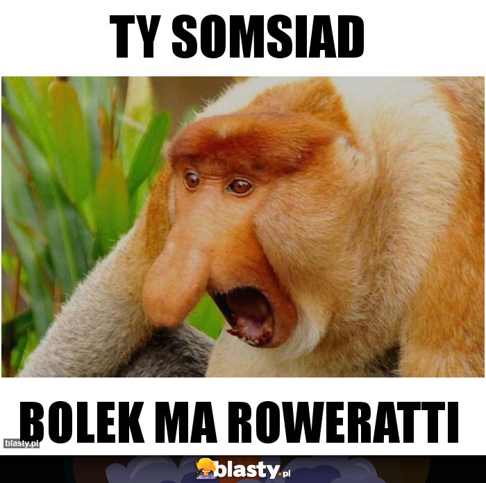 ty somsiad ty somsiad