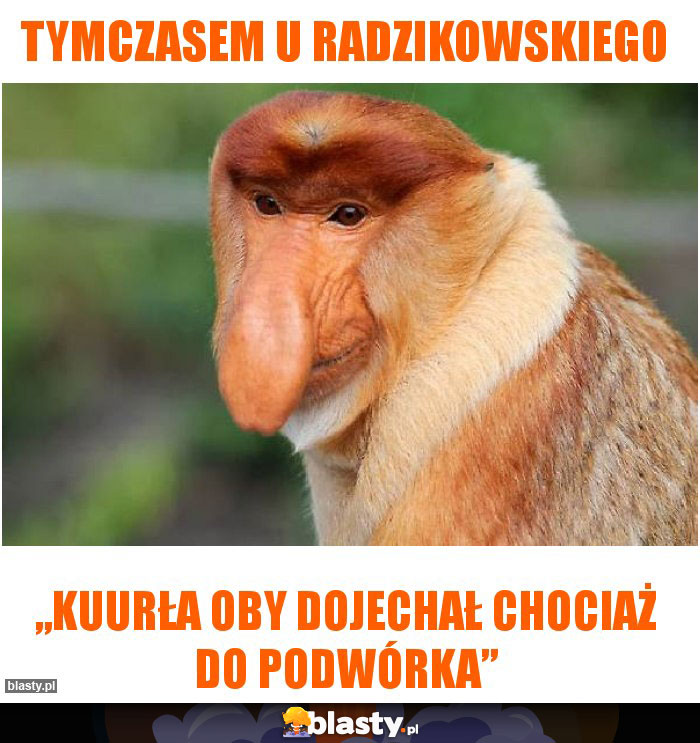 Tymczasem u radzikowskiego Tymczasem u radzikowskiego