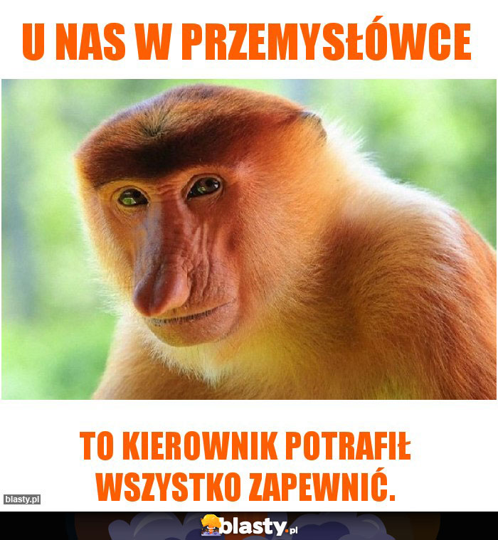 U nas w przemysłówce U nas w przemysłówce