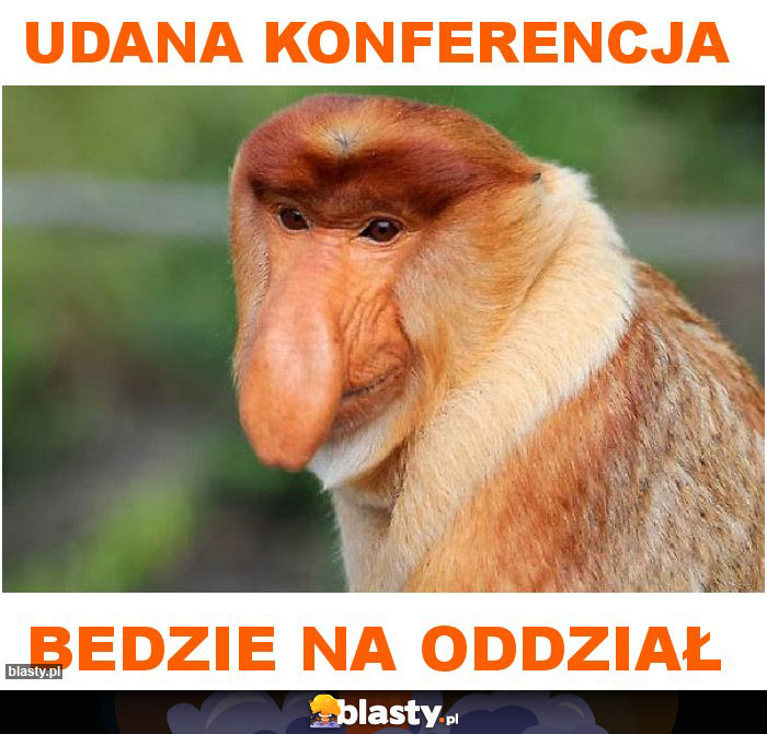 udana konferencja udana konferencja