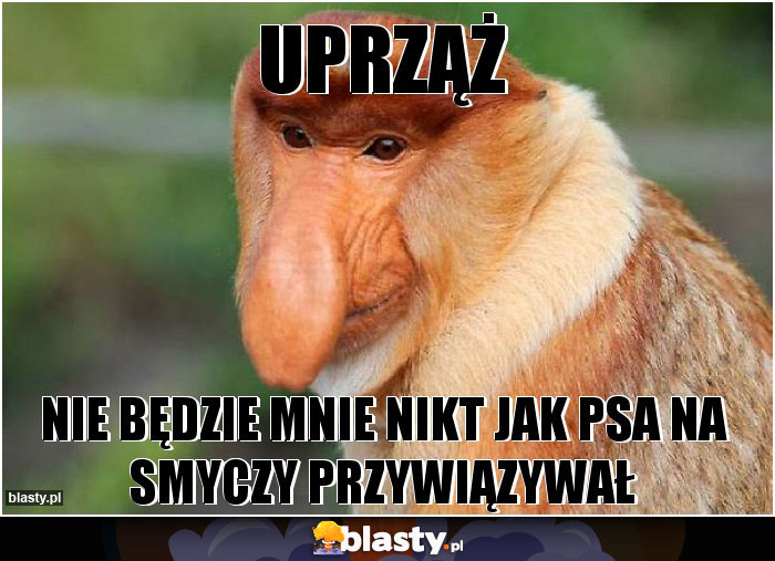 Uprząż