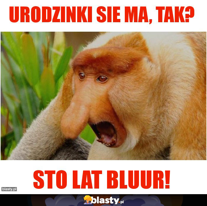 Urodzinki sie ma, tak? Urodzinki sie ma, tak?