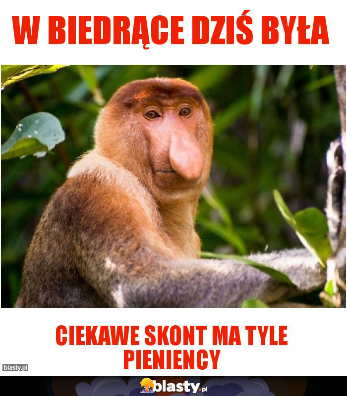 W biedrące dziś była W biedrące dziś była