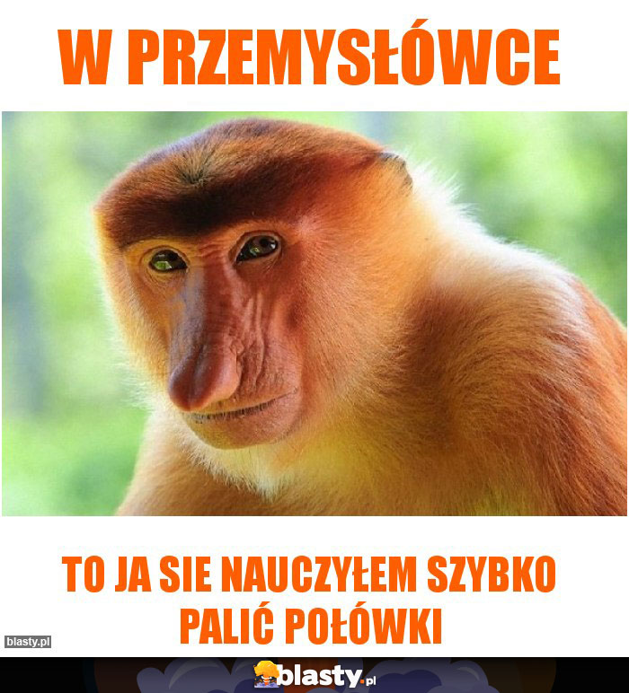 W przemysłówce W przemysłówce
