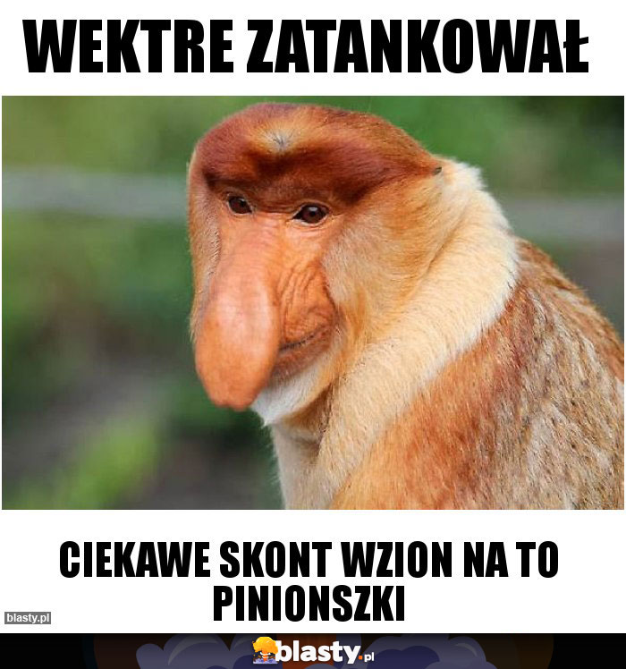 Wektre zatankował Wektre zatankował