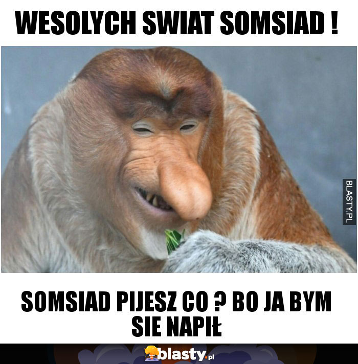 Wesolych Swiat Somsiad ! Wesolych Swiat Somsiad !