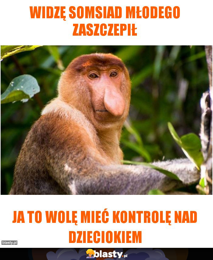 Widzę somsiad młodego zaszczepił Widzę somsiad młodego zaszczepił