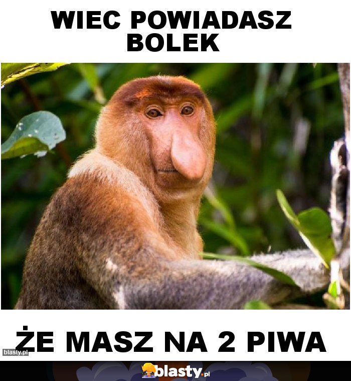 wiec powiadasz bolek wiec powiadasz bolek