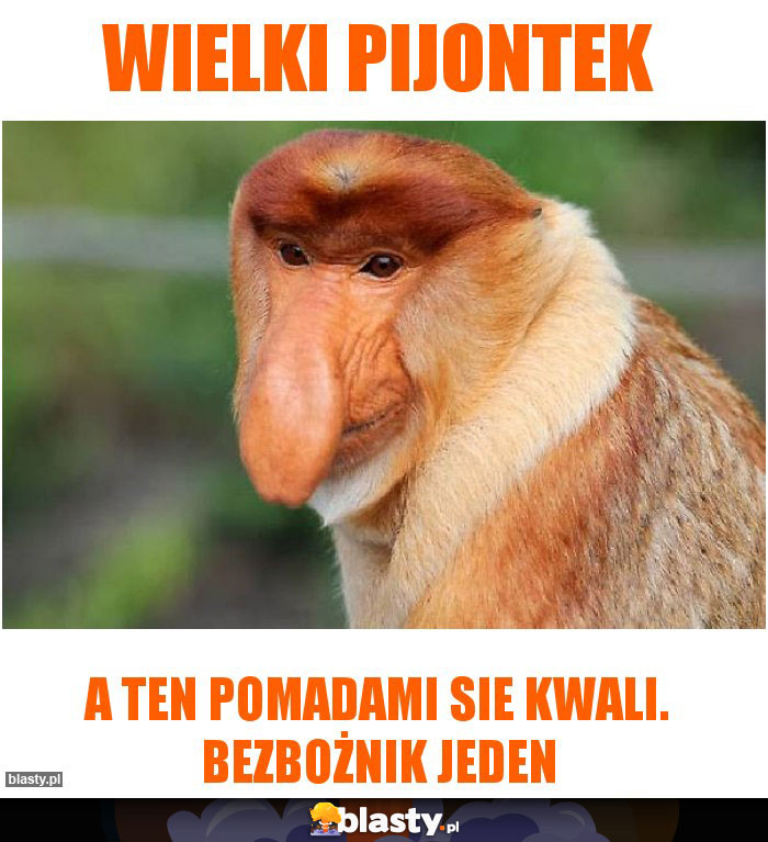 wielki pijontek wielki pijontek