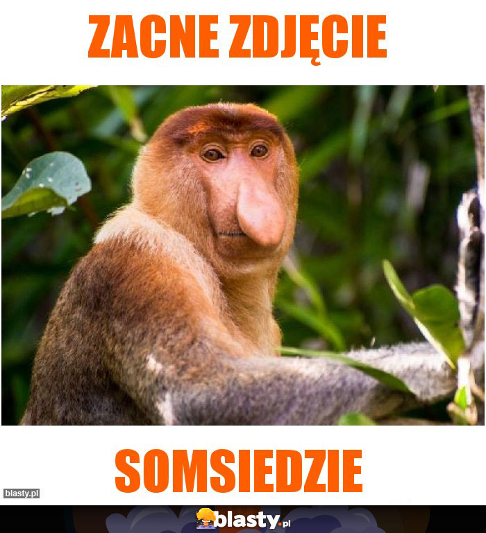 Zacne zdjęcie Zacne zdjęcie