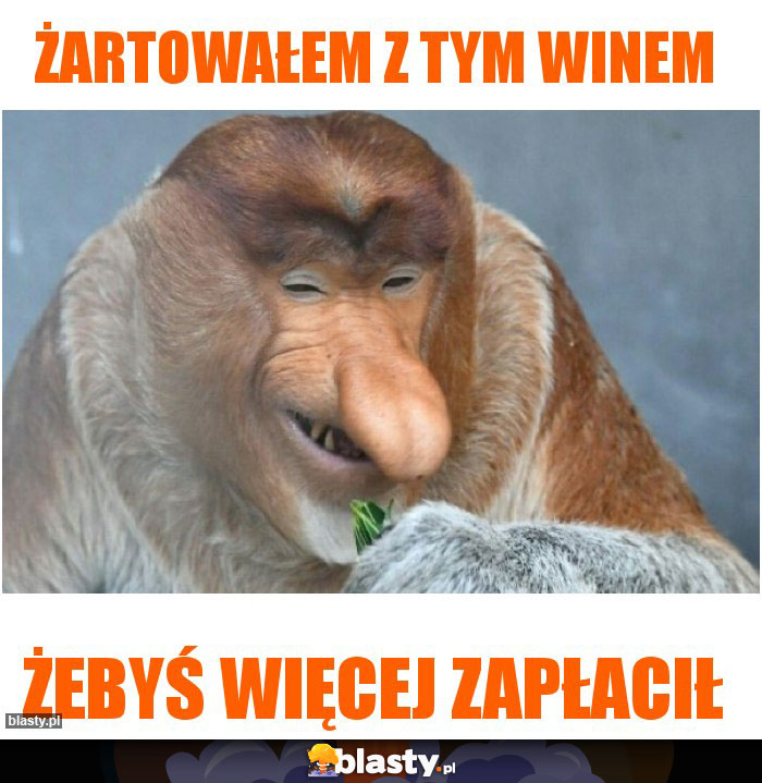 żartowałem z tym winem