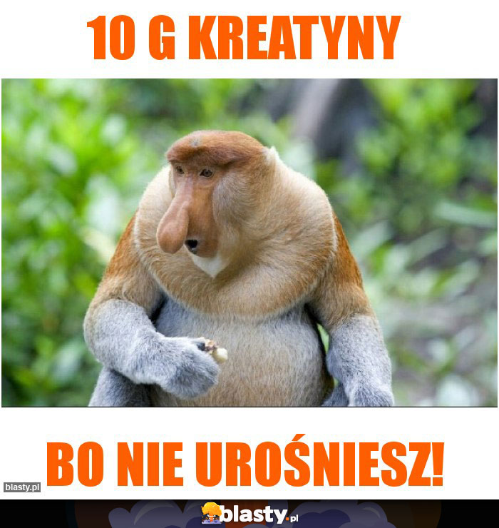 10 G KREATYNY 10 G KREATYNY