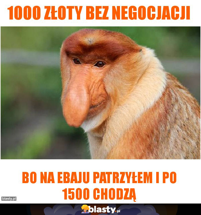 1000 złoty bez negocjacji 1000 złoty bez negocjacji