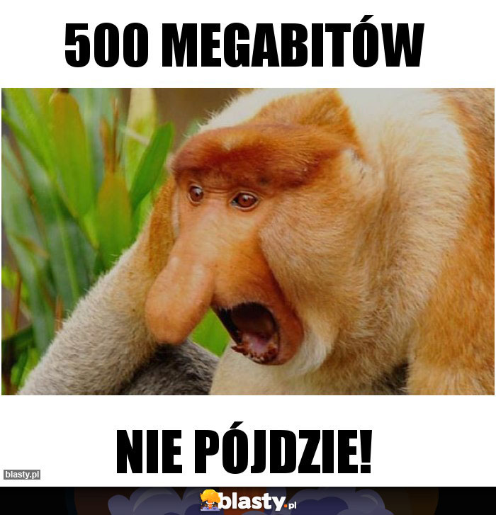 500 megabitów 500 megabitów