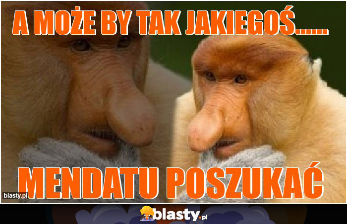 A może by tak jakiegoś...... A może by tak jakiegoś......