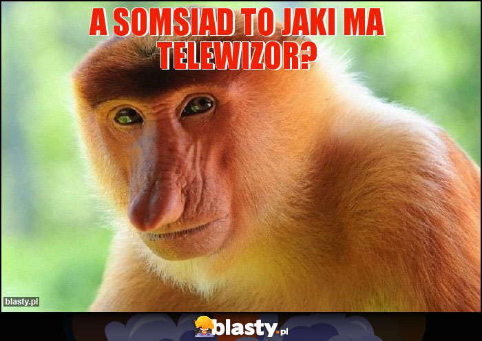 a somsiad to jaki ma telewizor? a somsiad to jaki ma telewizor?