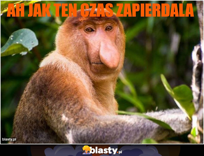 Ah jak ten czas zapierdala Ah jak ten czas zapierdala