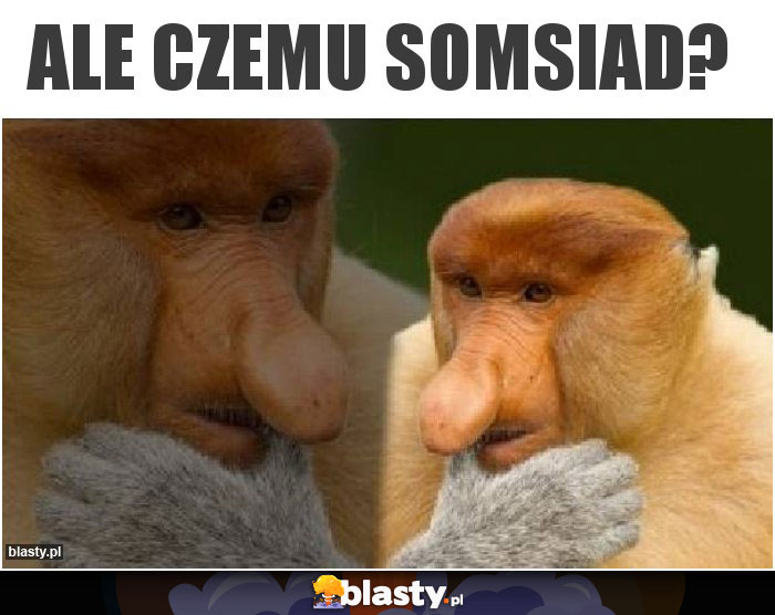 Ale czemu somsiad? Ale czemu somsiad?