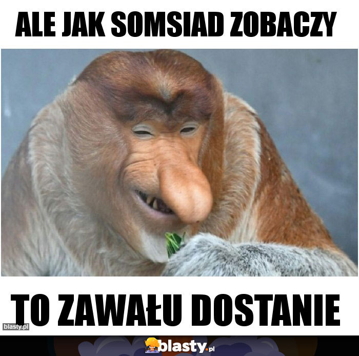 Ale jak somsiad zobaczy Ale jak somsiad zobaczy