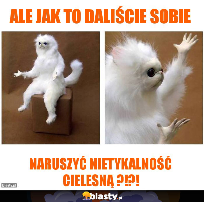 Ale jak to daliście sobie Ale jak to daliście sobie