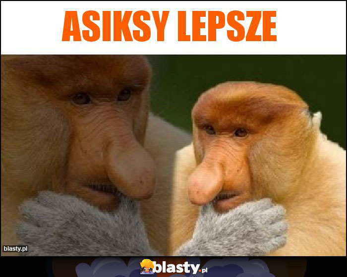 Asiksy lepsze Asiksy lepsze