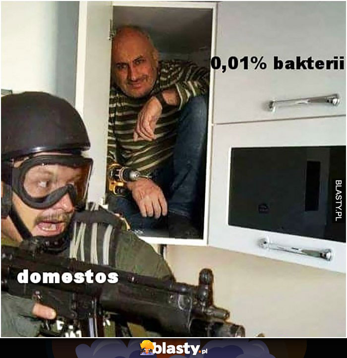 Bakterie