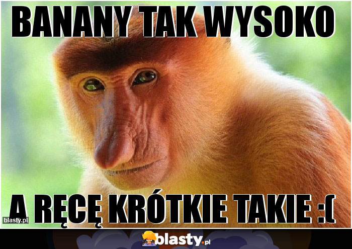 Banany tak wysoko Banany tak wysoko