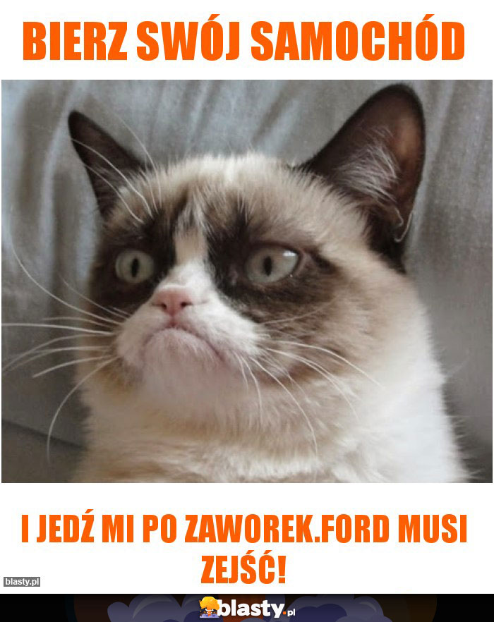 Bierz swój samochód Bierz swój samochód