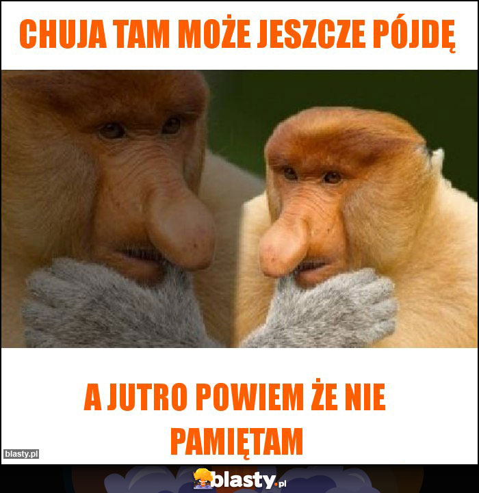 Chuja tam może jeszcze pójdę Chuja tam może jeszcze pójdę