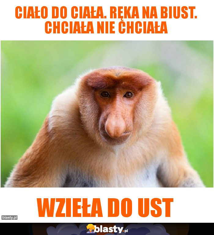 Ciało do Ciała. Ręka na Biust. Chciała nie chciała Ciało do Ciała. Ręka na Biust. Chciała nie chciała