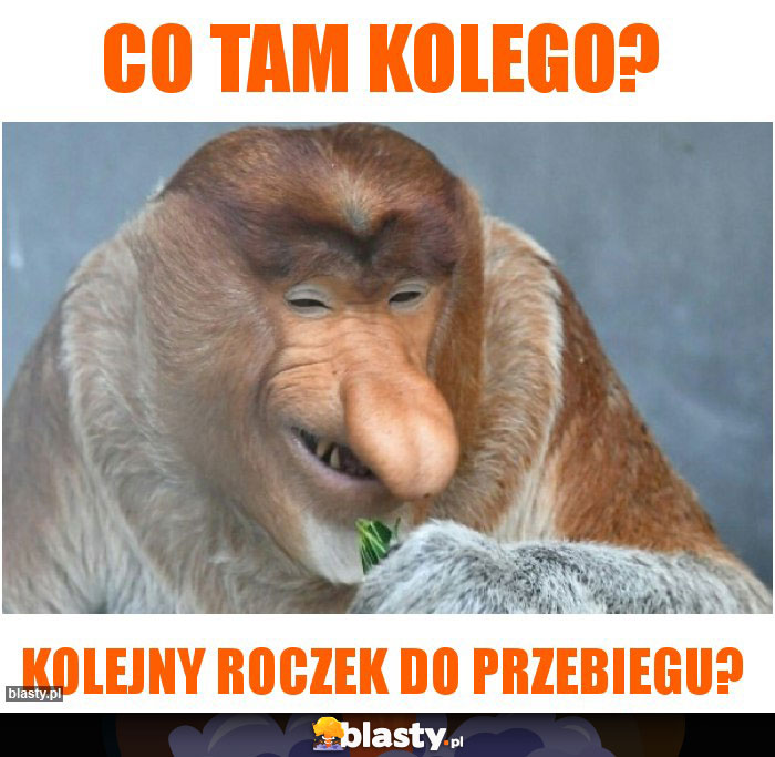 co tam kolego? co tam kolego?