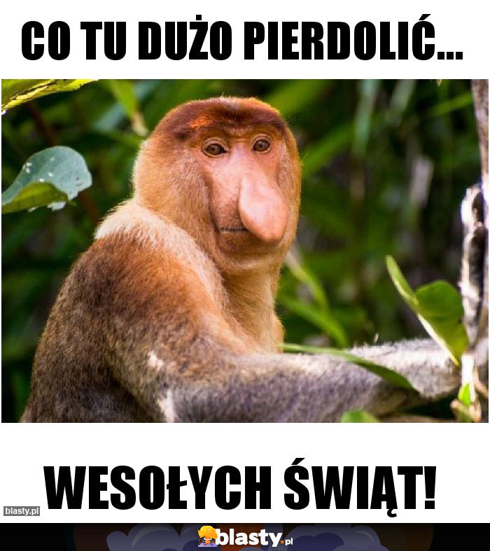 CO TU DUŻO PIERDOLIĆ... CO TU DUŻO PIERDOLIĆ...