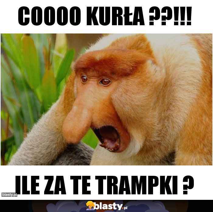 coooo kurła ??!!! coooo kurła ??!!!