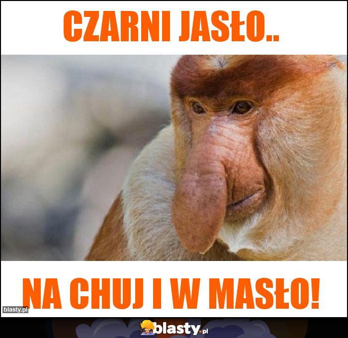 Czarni jasło.. Czarni jasło..