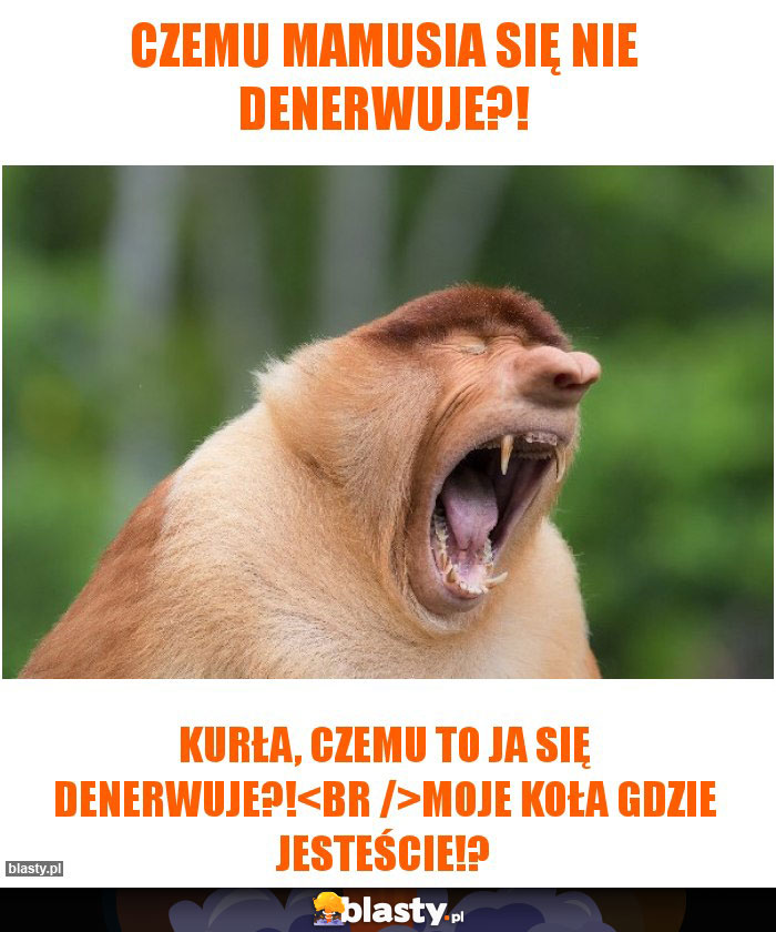 Czemu Mamusia się nie denerwuje?! Czemu Mamusia się nie denerwuje?!