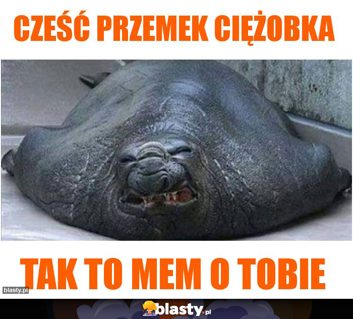 Cześć Przemek ciężobka Cześć Przemek ciężobka